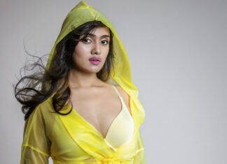 ডিজে সানিকা ফিরছেন অভিনয়ে