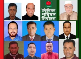 কাপাসিয়ার ইউপি নির্বাচনে চেয়ারম্যান পদে বিজয়ী যারা