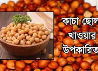 ছোলা ডায়াবেটিসসহ নানা রোগে উপকারি gazipurnews.net