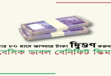 ডাবল বেনিফিট স্কীম টাকা দ্বিগুণ ডিপোজিটারদের ডাবল বেনিফিট স্কীম