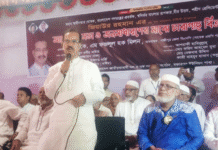 আমরা ঐক্যবদ্ধ শক্তিশালী বিএনপি চাই : ফজলুল হক মিলন ফজলুল হক মিলন